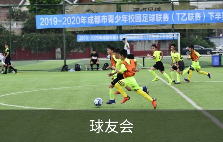 球友会概况